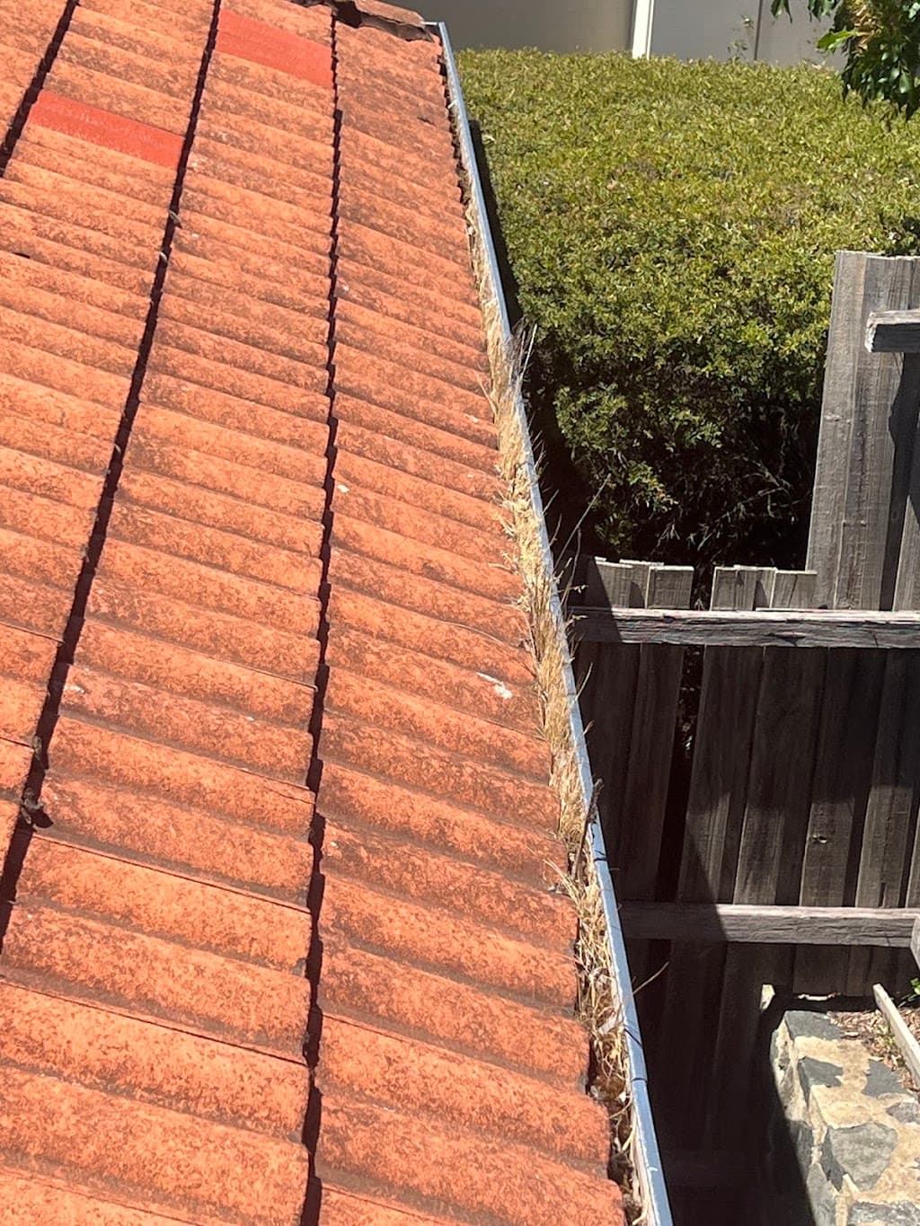 Capital Gutter Cleaning