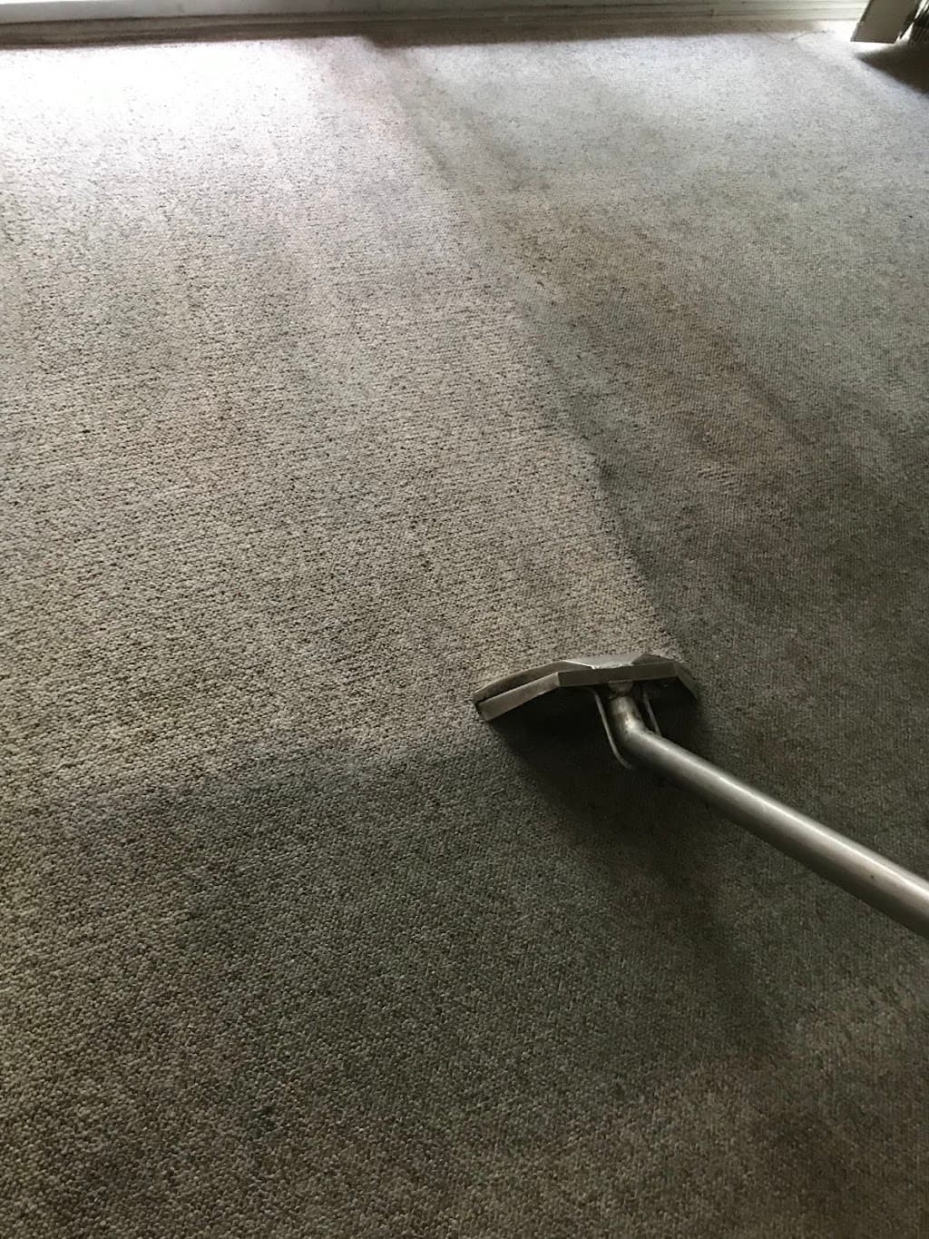 Sydney Steemer Carpet Cleaner