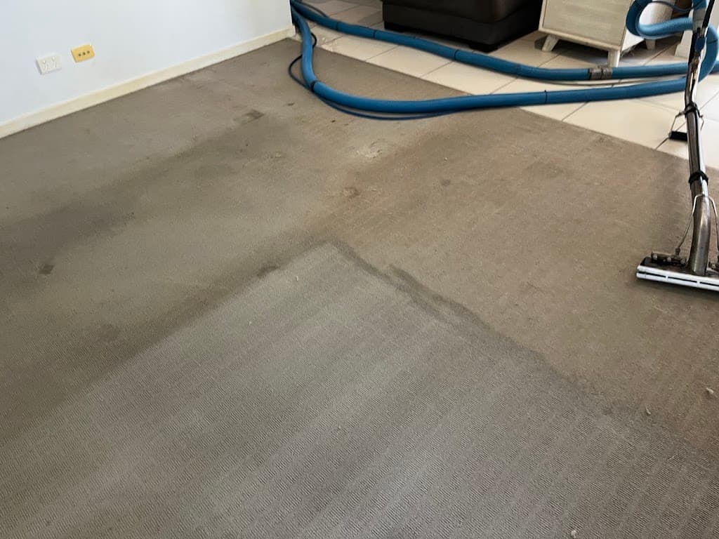 Carpet Cleaning - East Coast Carpet & Pest