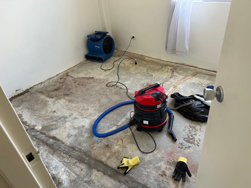 Clean+Dry Carpet and Tile Cleaning