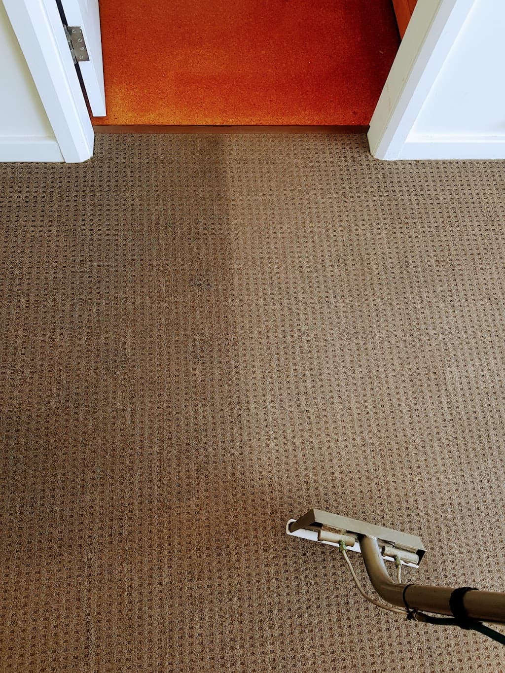 Carpet Tech