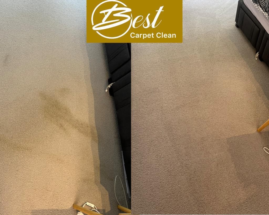 Best Carpet Clean