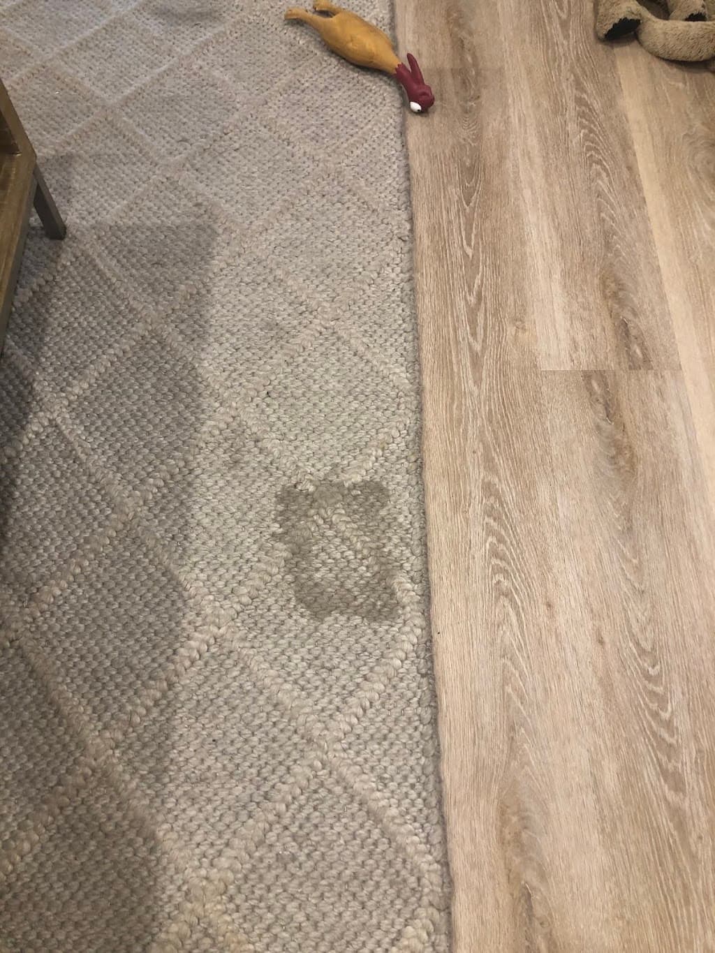 Myer Carpet Cleaning