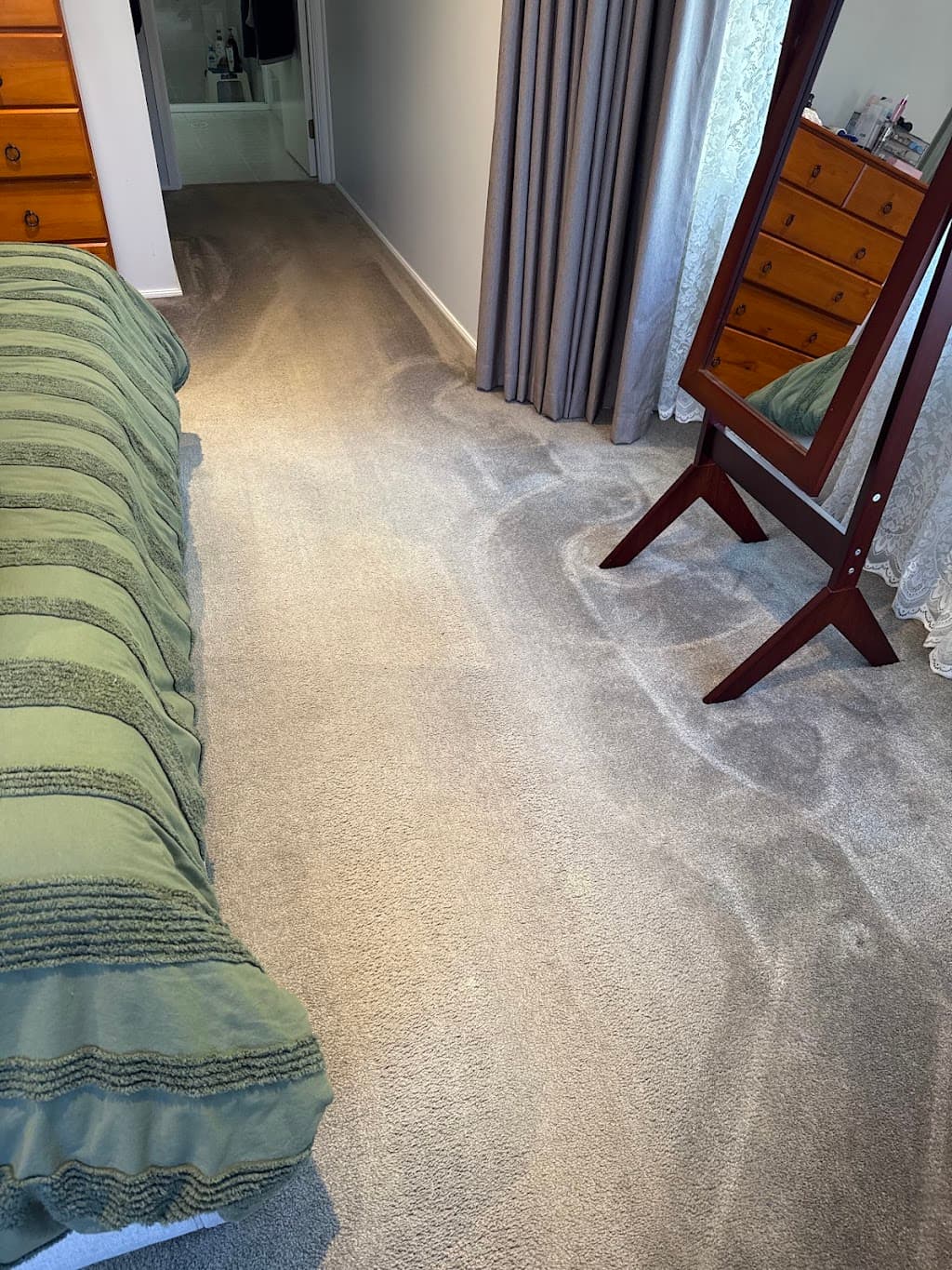 Go Green Carpet Clean.