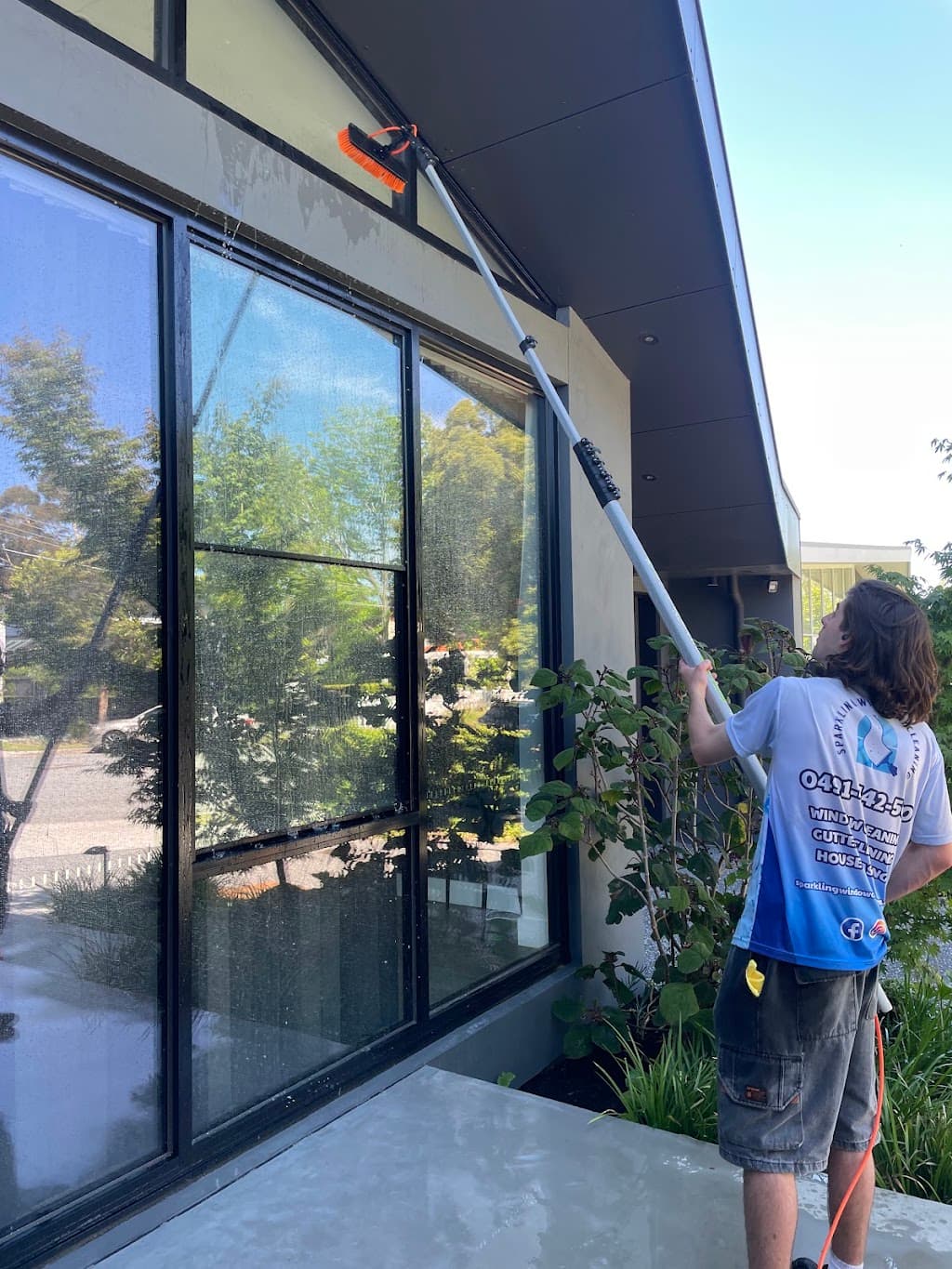 Sparkling Window Cleaning