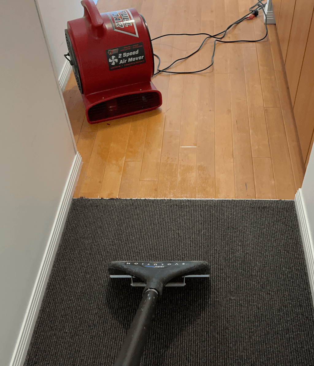 Eco Carpet Cleaning Gold Coast