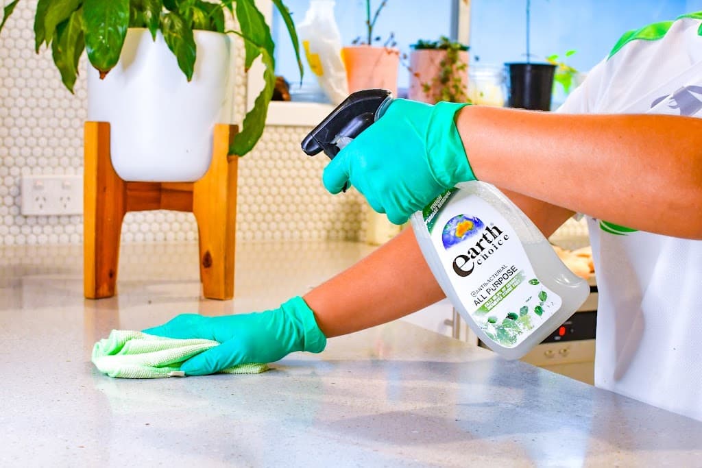 The Cleaning Lady