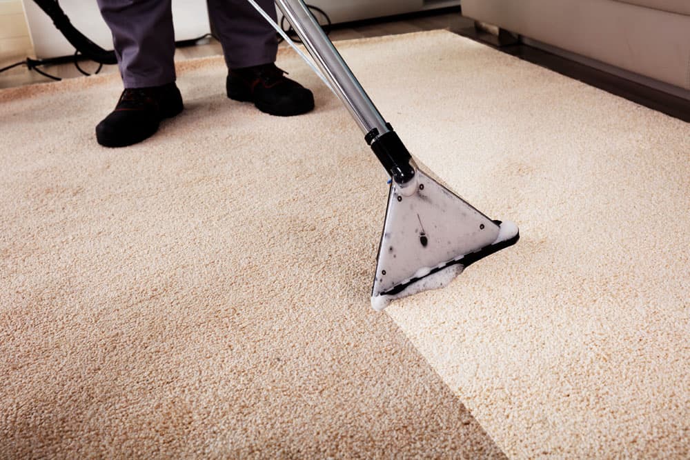 Sunny Coast Carpet Cleaning
