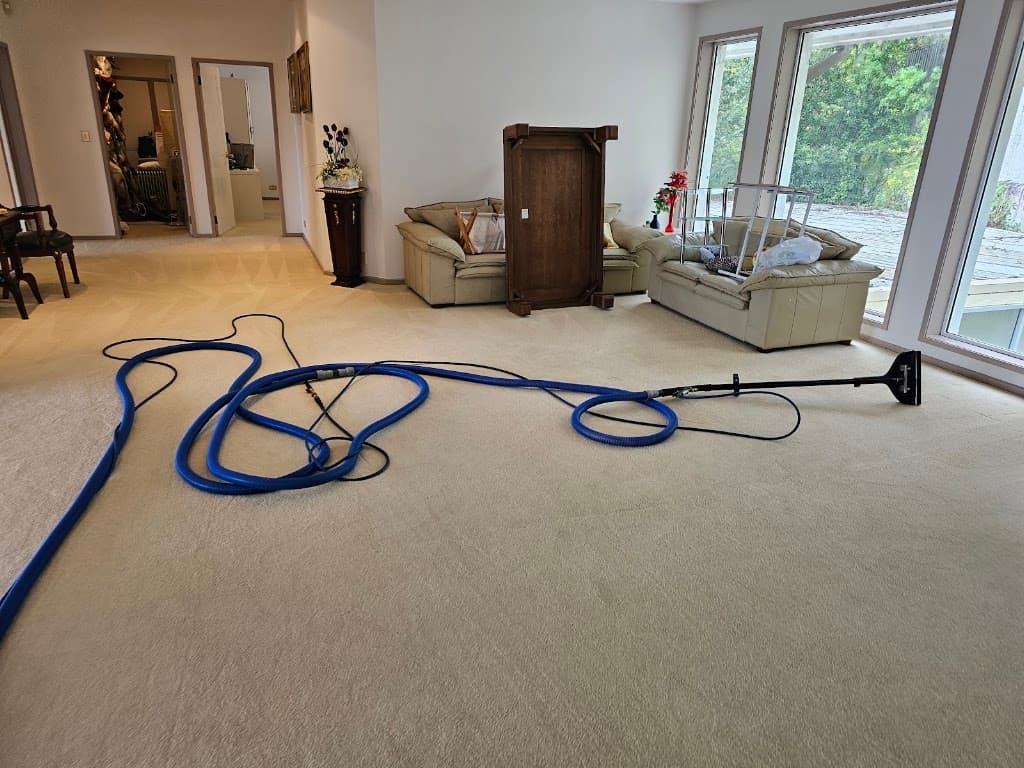 Cleantec Carpet Cleaning