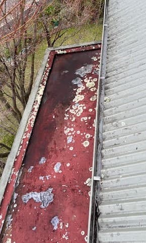 Pro Gutters Hobart