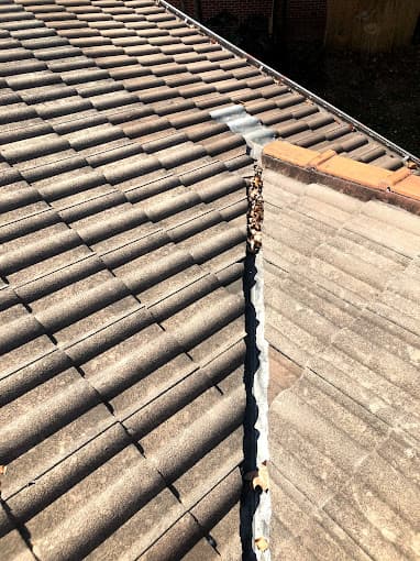 Ben's Gutter Cleaning