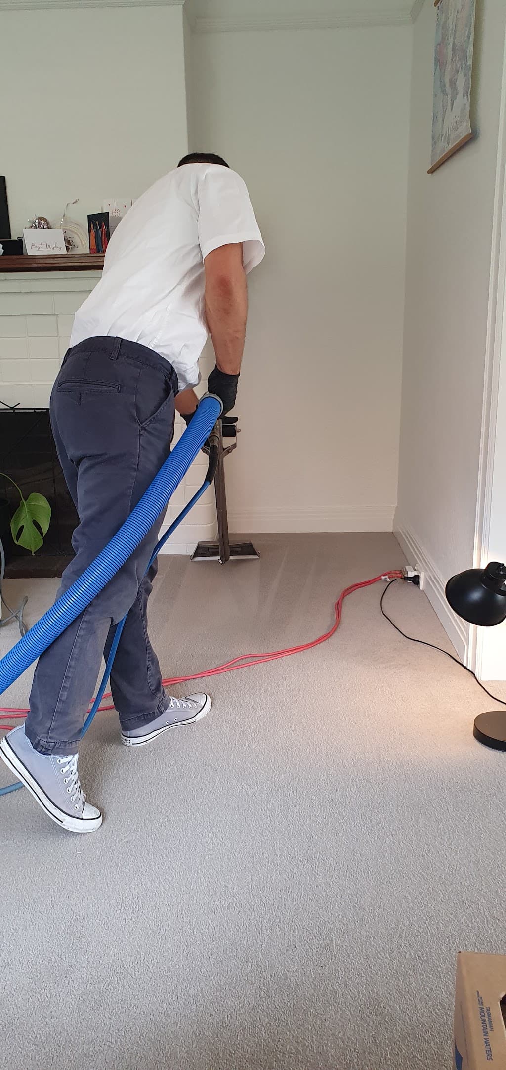 Revive Carpet Cleaning