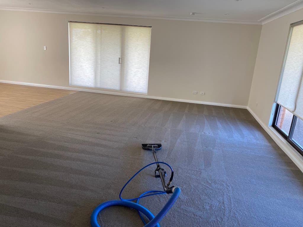 Coast Carpet and Lounge cleaning