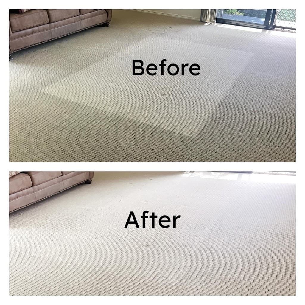 Sunshine Coast Carpet & Pest
