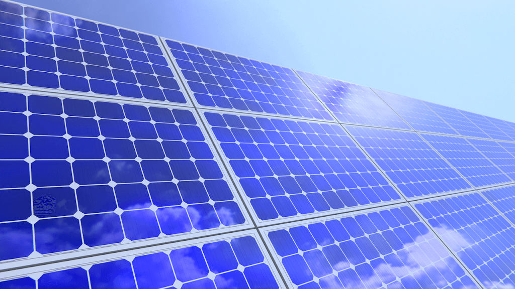 Townsville Solar Clean & Bird Proofing