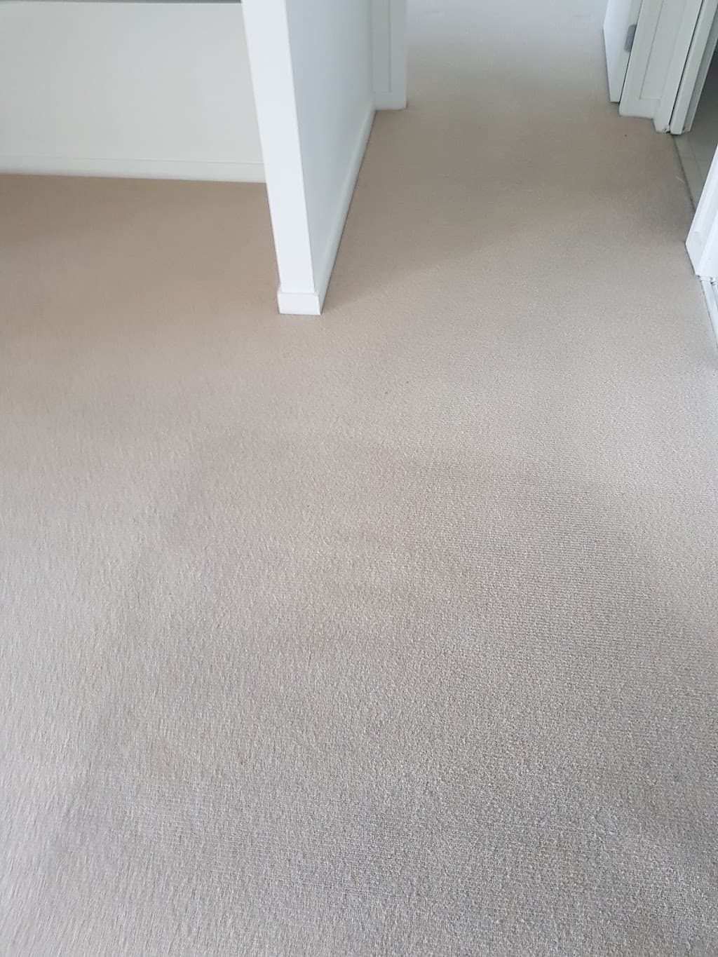 The Carpet Cleaners Brisbane