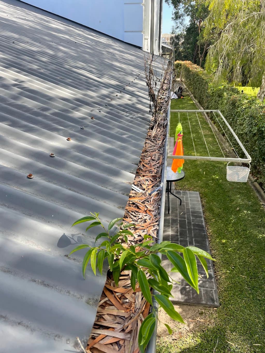 Gold Coast Gutter Cleaning