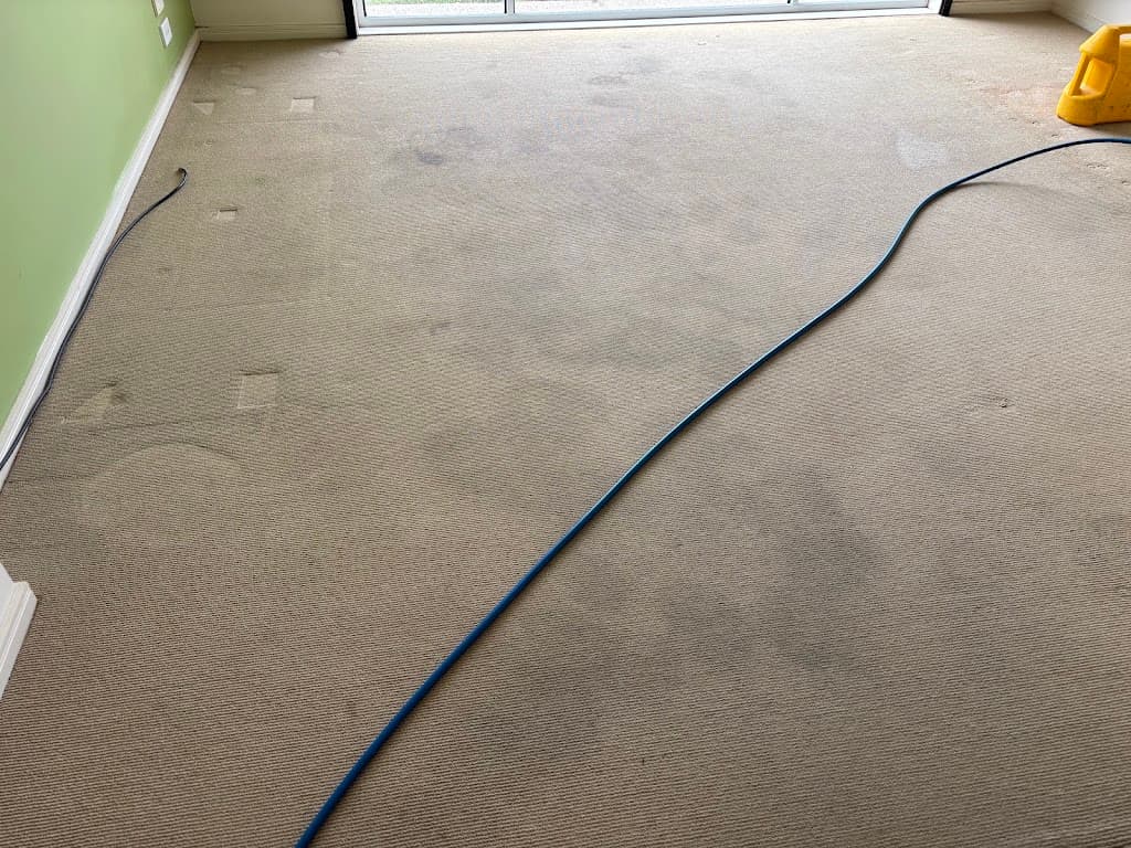The Carpet Surgeon Gold Coast