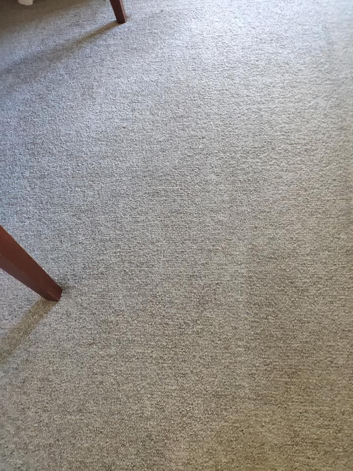 Zig Zag Carpet Cleaning Adelaide