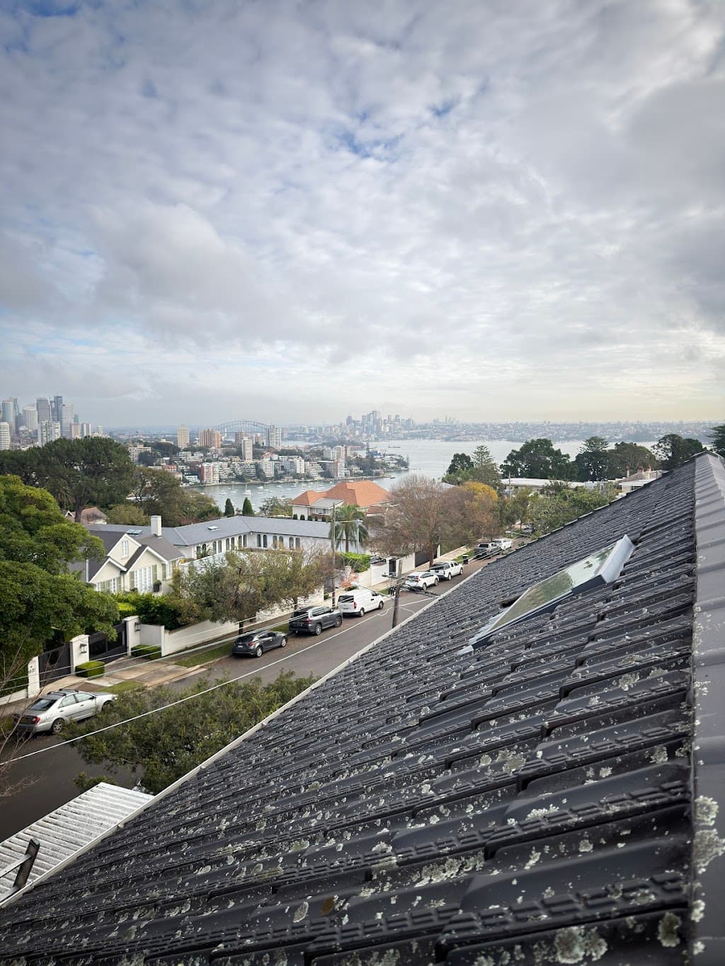 SGC Sydney Gutter Cleaning