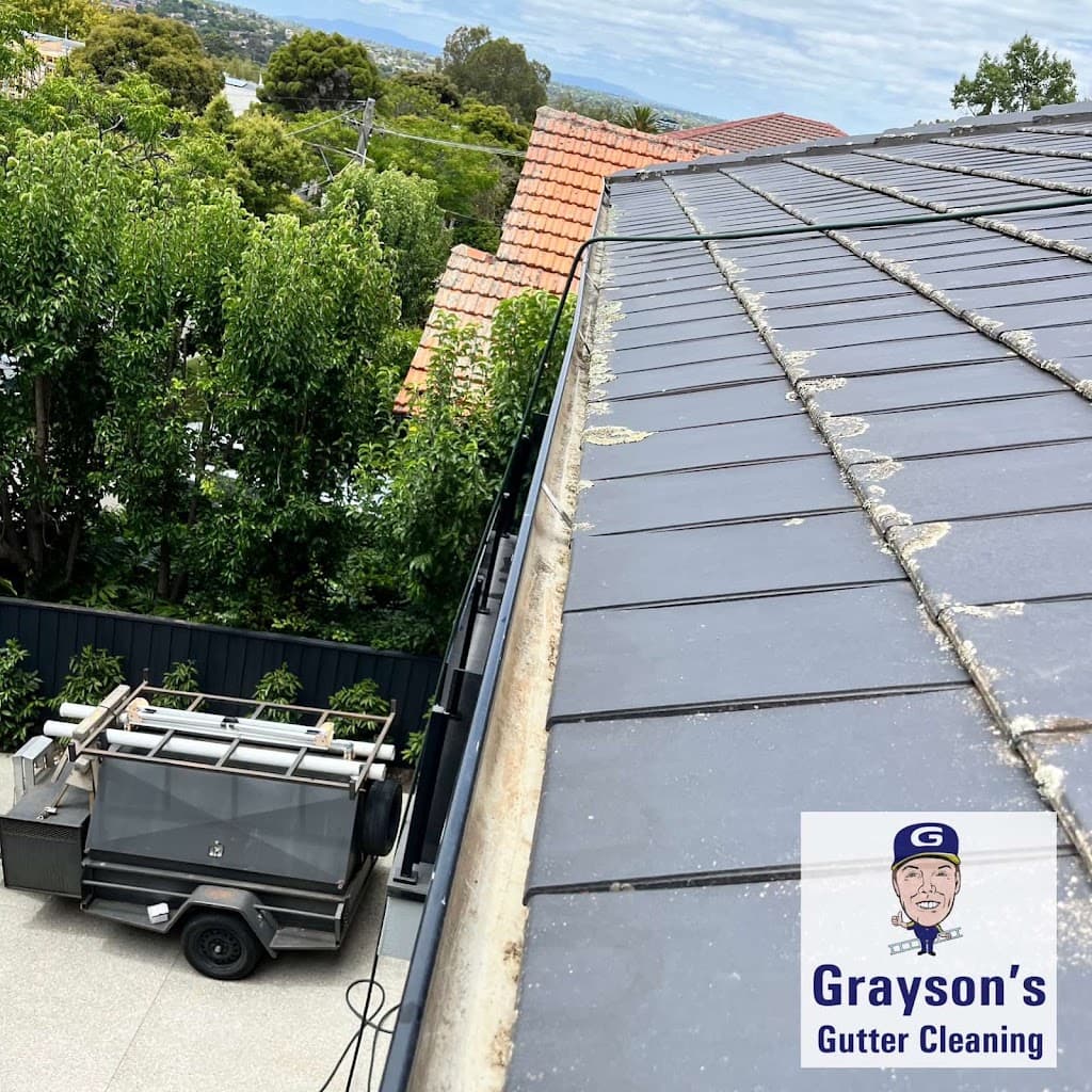 Grayson's Gutter Cleaning