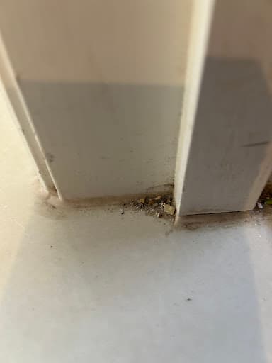 Bond Cleaning in Adelaide — Customer photo