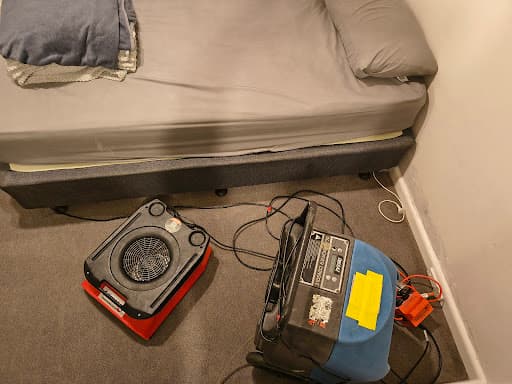 Urban Steam Clean (Carpet & Upholstery) — Customer photo
