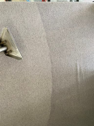 Canberra Carpet Steam Cleaning — Customer photo