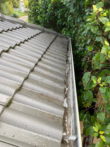 SwiftVac Gutter Cleaning — Customer photo