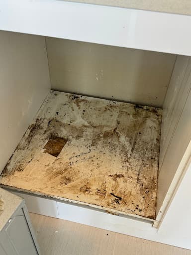 Maid2Go Cleaning Sydney — Customer photo
