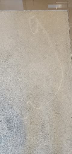 ChemDry Metro Carpet Cleaning Melbourne — Customer photo