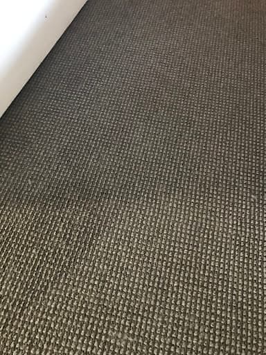 Carpet Tech — Customer photo