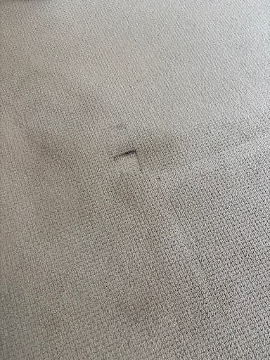 Stain Busters Toowoomba — Customer photo