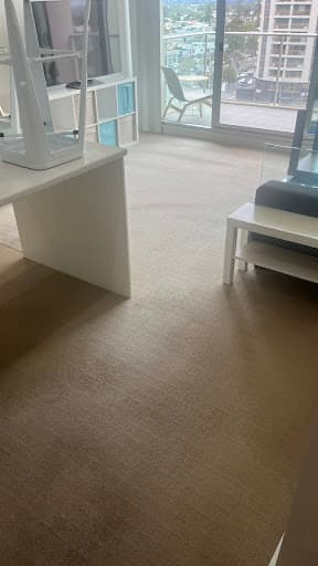 ChemDry Locals — Customer photo