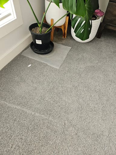 Maid2Match — Customer photo