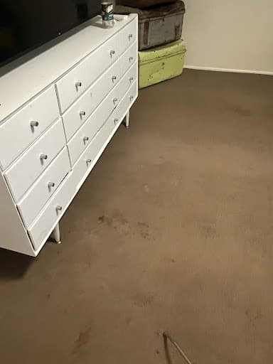 DUST 2 CLEAN — Customer photo