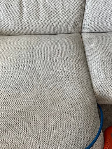 Urban Steam Clean (Carpet & Upholstery) — Customer photo