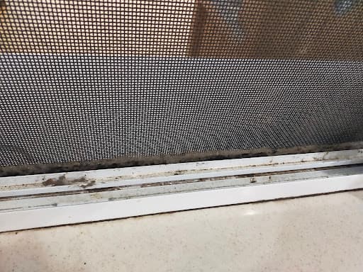 Abelia Cleaning — Customer photo
