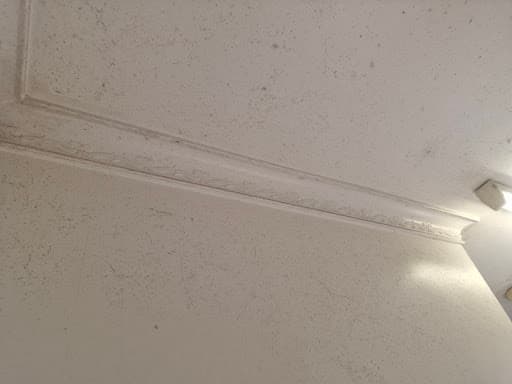 Loves Cleaning Goldcoast — Customer photo