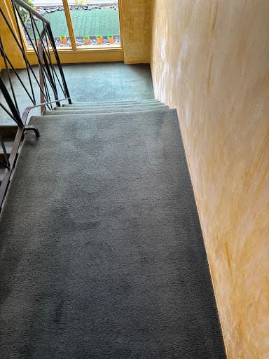 ChemDry Metro Carpet Cleaning Melbourne — Customer photo