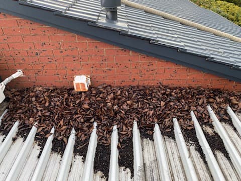SwiftVac Gutter Cleaning — Customer photo