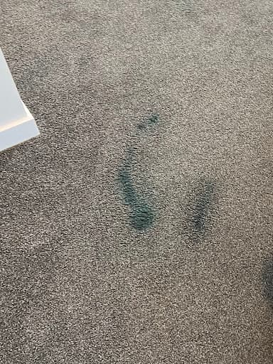 DUST 2 CLEAN — Customer photo