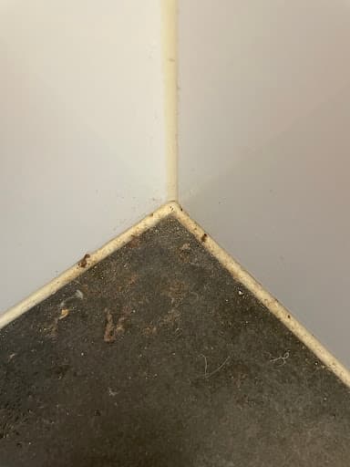 Bond Cleaning in Adelaide — Customer photo