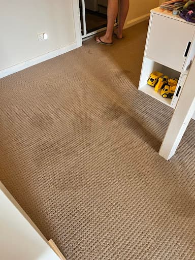 Carpet Tech — Customer photo