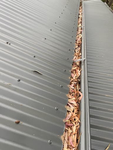 SwiftVac Gutter Cleaning — Customer photo