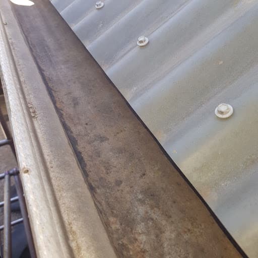Adelaide Gutter Mesh — Customer photo