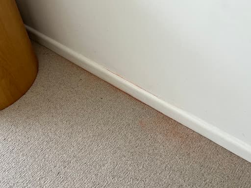 ChemDry Metro Carpet Cleaning Melbourne — Customer photo