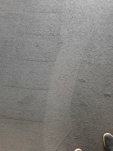 Omega Carpet Cleaning Melbourne — Customer photo