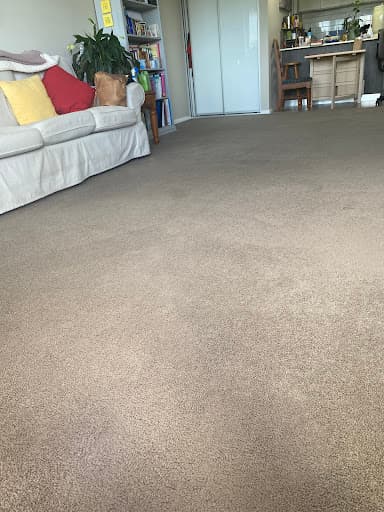 Electrodry Carpet Dry Cleaning Canberra — Customer photo