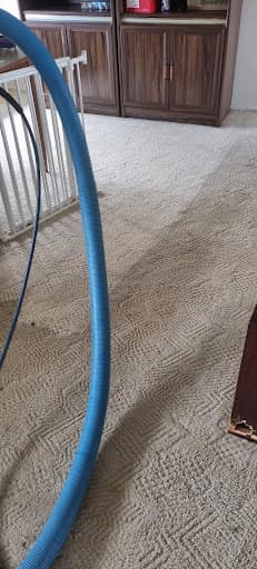 Dial a Carpet Cleaner & Pest Control — Customer photo